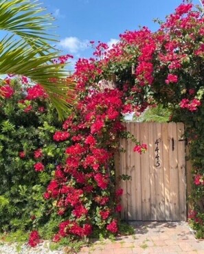 A wooden gate with a number, surrounded by lush greenery and vibrant pink flowers.