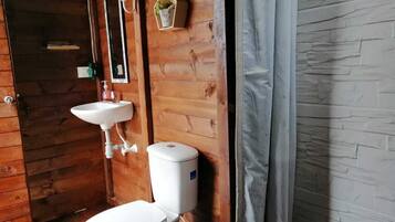 Shower, towels, soap, toilet paper