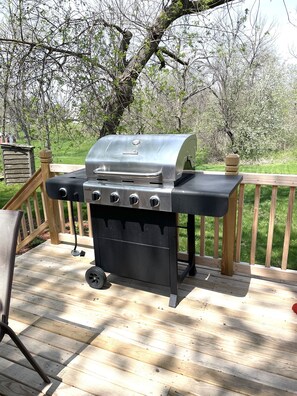Terrace/patio - Tranquil Home in Beautiful Setting (Ames)