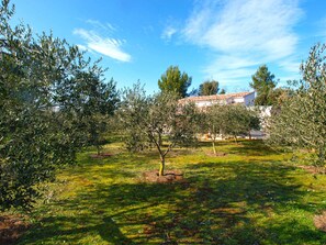 المنطقة المحيطة بالمنشأة