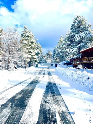 A snow-covered road flanked by trees and a wooden building with a porch.