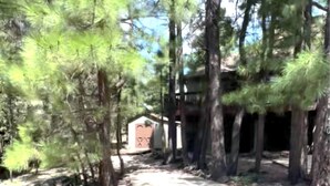 Un sentier qui mène à un bâtiment entouré de grands pins.