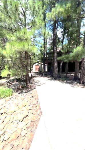 Un sentier qui mène à un bâtiment entouré de grands pins.
