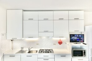 Fridge, microwave, stovetop, dishwasher