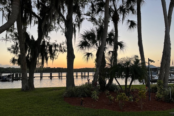 A waterfront view with palm trees and a dock extending into the water. - River Bend B212 (Welaka)