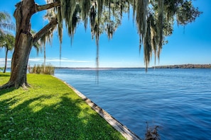 A lakeside view with a grassy area and a tree with hanging moss. - River Bend B212 (Welaka)