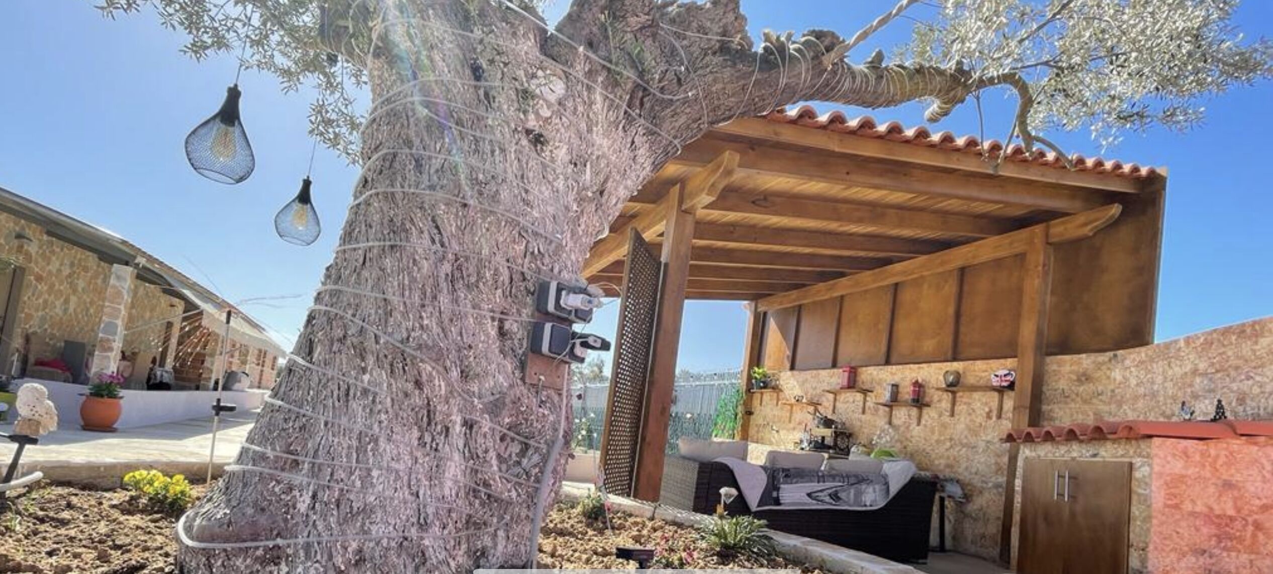 Un espacio de estar al aire libre cubierto, con una pérgola de madera, una mesa con una silla, y un pequeño jardín con plantas y un árbol decorativo.