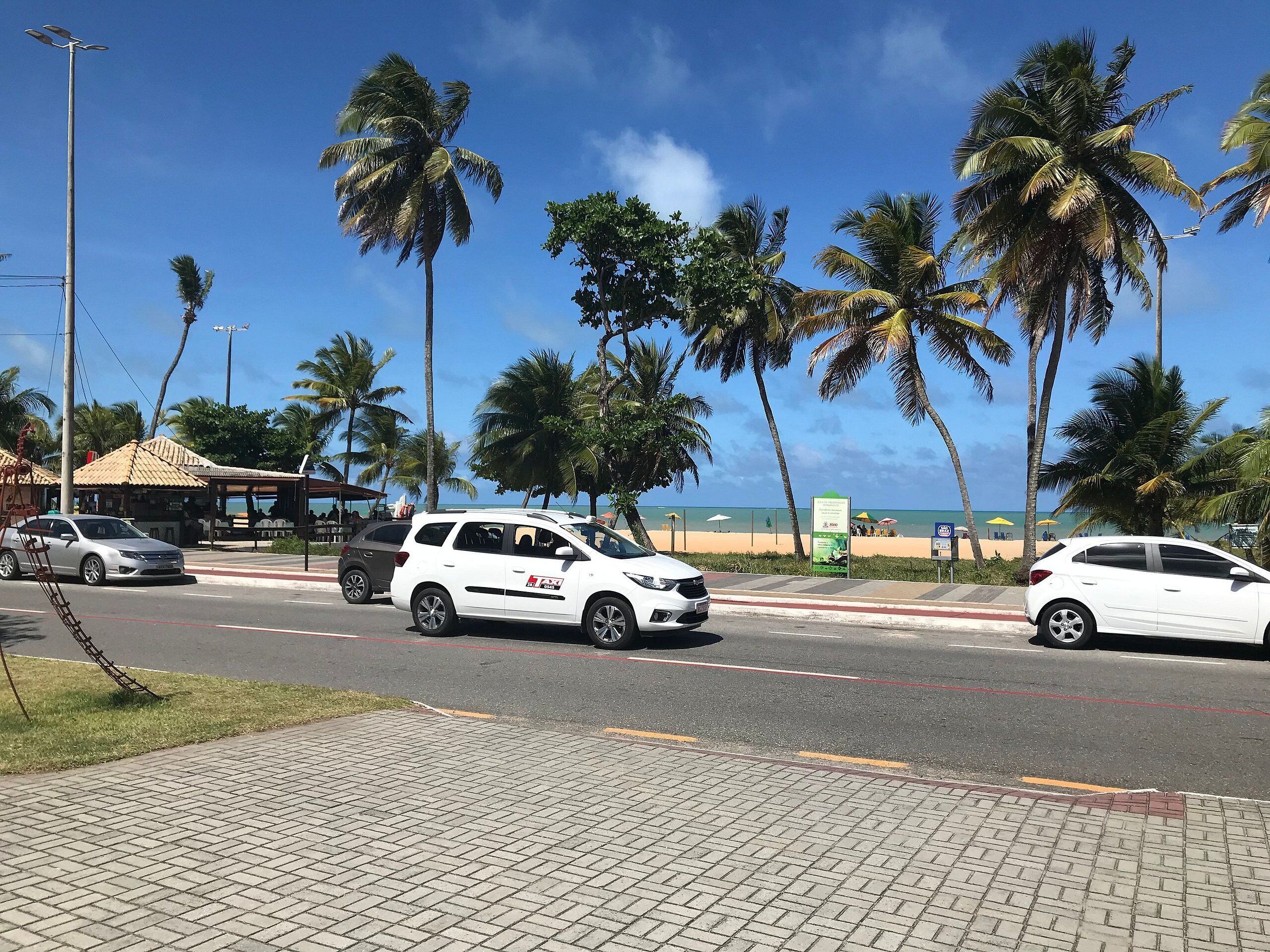 A street with palm trees, a white car, and a building with a tiled roof.