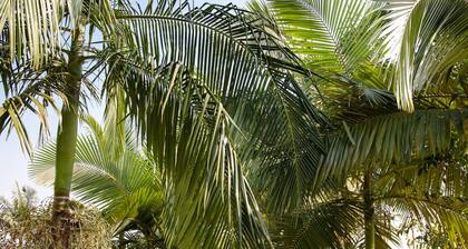 Serene Lake View Lodge in Kayove, Rwanda