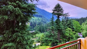 Chambre Exécutive | Vue depuis le balcon
