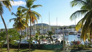 Un port esportiu amb embarcacions amarrades, envoltat de palmeres i un paisatge de muntanyes al fons.