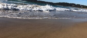 Easy Walk to the Inlet & Beach