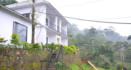 Scotland of Kerala better than munnar and Thekkady It's tea estate gate vagamon