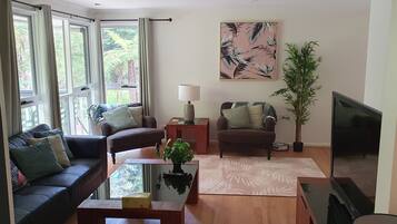 Smart TV, DVD player, books