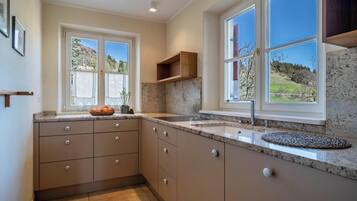 Kühlschrank, Ofen, Herdplatte, Geschirrspüler