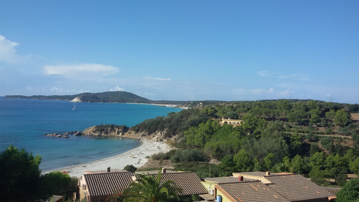 Imagen de perfil del propietario o de la propietaria