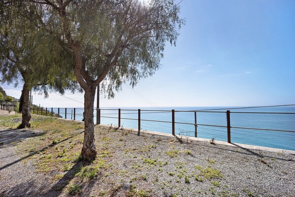 Una zona costiera con un sentiero sterrato, un albero e una ringhiera metallica con vista sul mare.