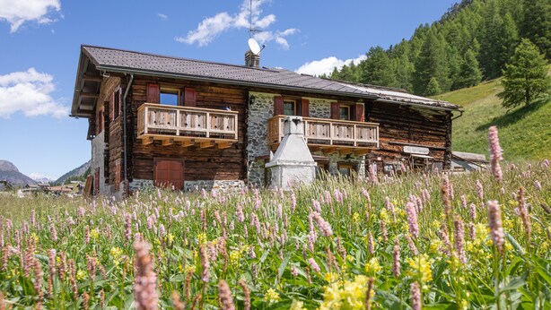 A rustic wooden cabin with a balcony, surrounded by a field of wildflowers.