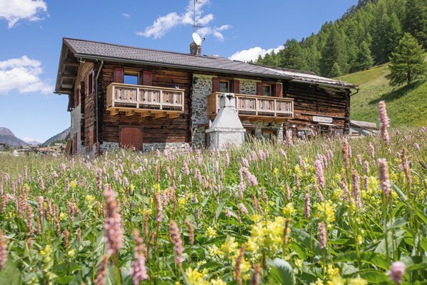 Exterior - Holiday Apartment "Pizalegn Bait da Rez" with Garden and Wi-Fi (Livigno)