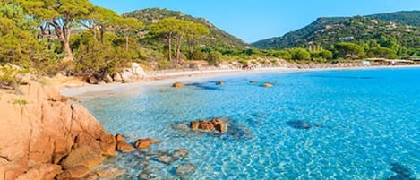 Plage à proximité