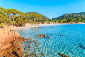 Playa en los alrededores 