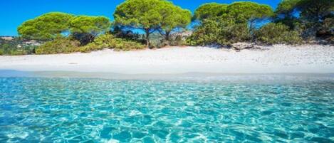 بالقرب من الشاطئ