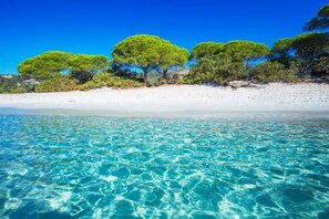 A beach with clear turquoise water and green trees in the background. - Villa Moderne 5 Min Mer - Piscine Idéale Familles, Proche Station de Ski 🏖️❄️ (Ventiseri)
