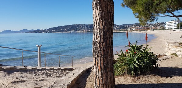 A beach with a railing, a tree, and a plant. - Large 3P apartment in estate on top floor with waterfront sea view (Antibes)