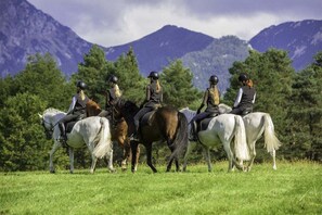 Un groupe de personnes à cheval dans un champ herbeux, avec des montagnes en arrière-plan.