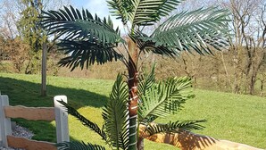 Un palmier planté dans un pot, entouré de petits galets et de rochers blancs, avec un banc en bois et une zone herbeuse en arrière-plan.