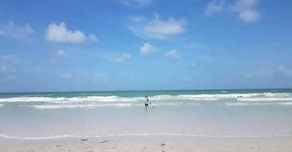 On the beach - Spacious 3/2 on Gulf with a view! Families Welcome (Indian Shores)