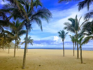 Sun loungers, beach towels - Boutique Condo in a Lush, Quiet Setting just Steps from Marina, Beaches & Dining (Cabo San Lucas)