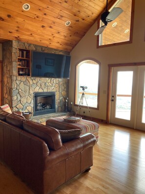 TV connectée, cheminée, lecteur de DVD, livres