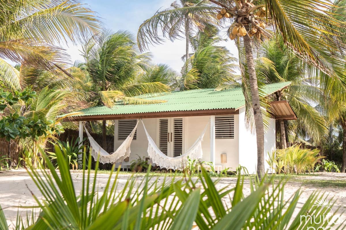 A small, single-story building with a green roof, surrounded by palm trees and a hammock.