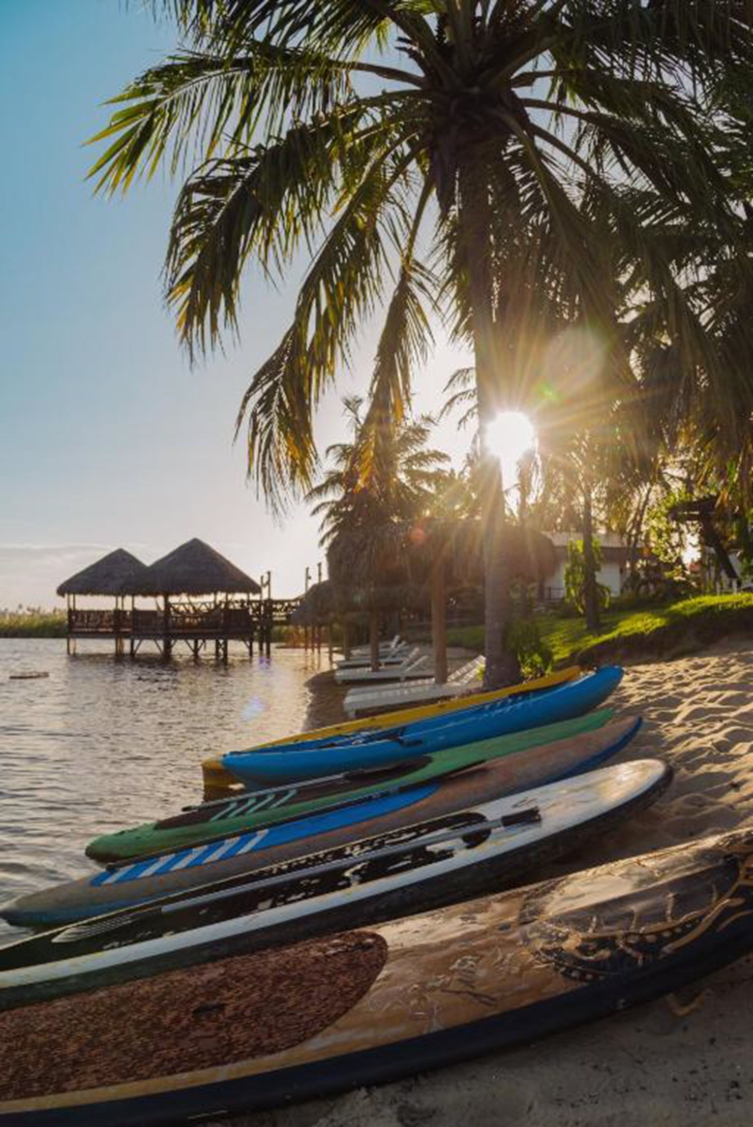 Pemandangan dari properti