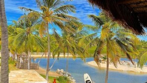 Vista de una playa con palmeras, una piscina y una tabla de surf.
