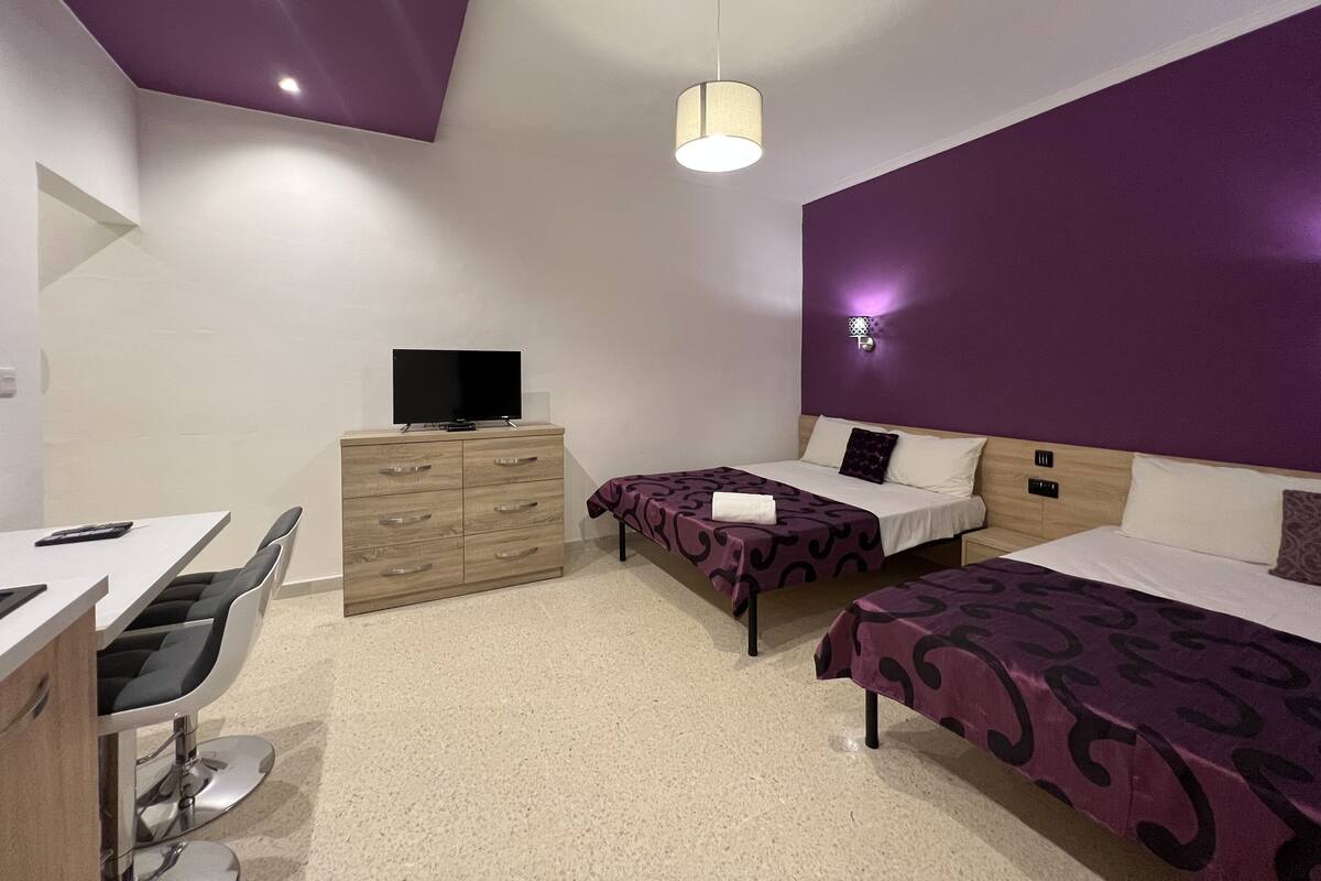 Minibar, iron/ironing board (on request), free WiFi, bed sheets