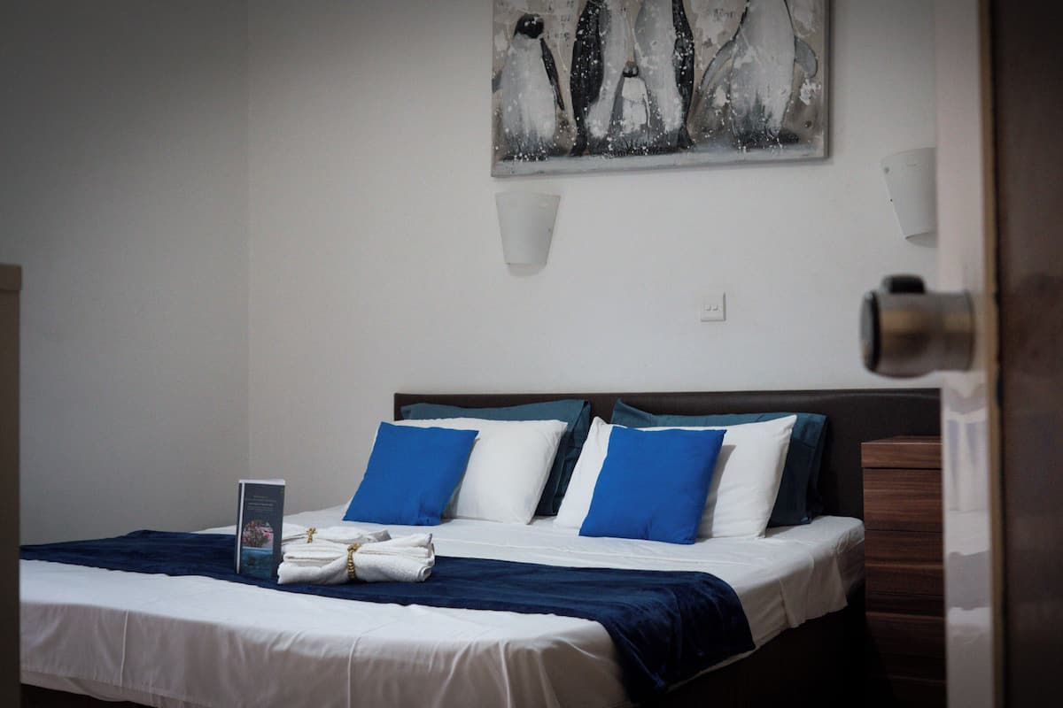 Minibar, tabla de planchar con plancha, wifi gratis y ropa de cama