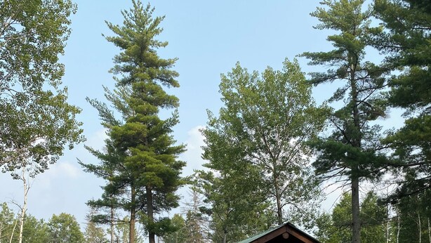 Ein rustikales Blockhaus mit Kamin aus Stein, einem Picknicktisch und einem Schild mit der Aufschrift 'Sunrise Cabin'.