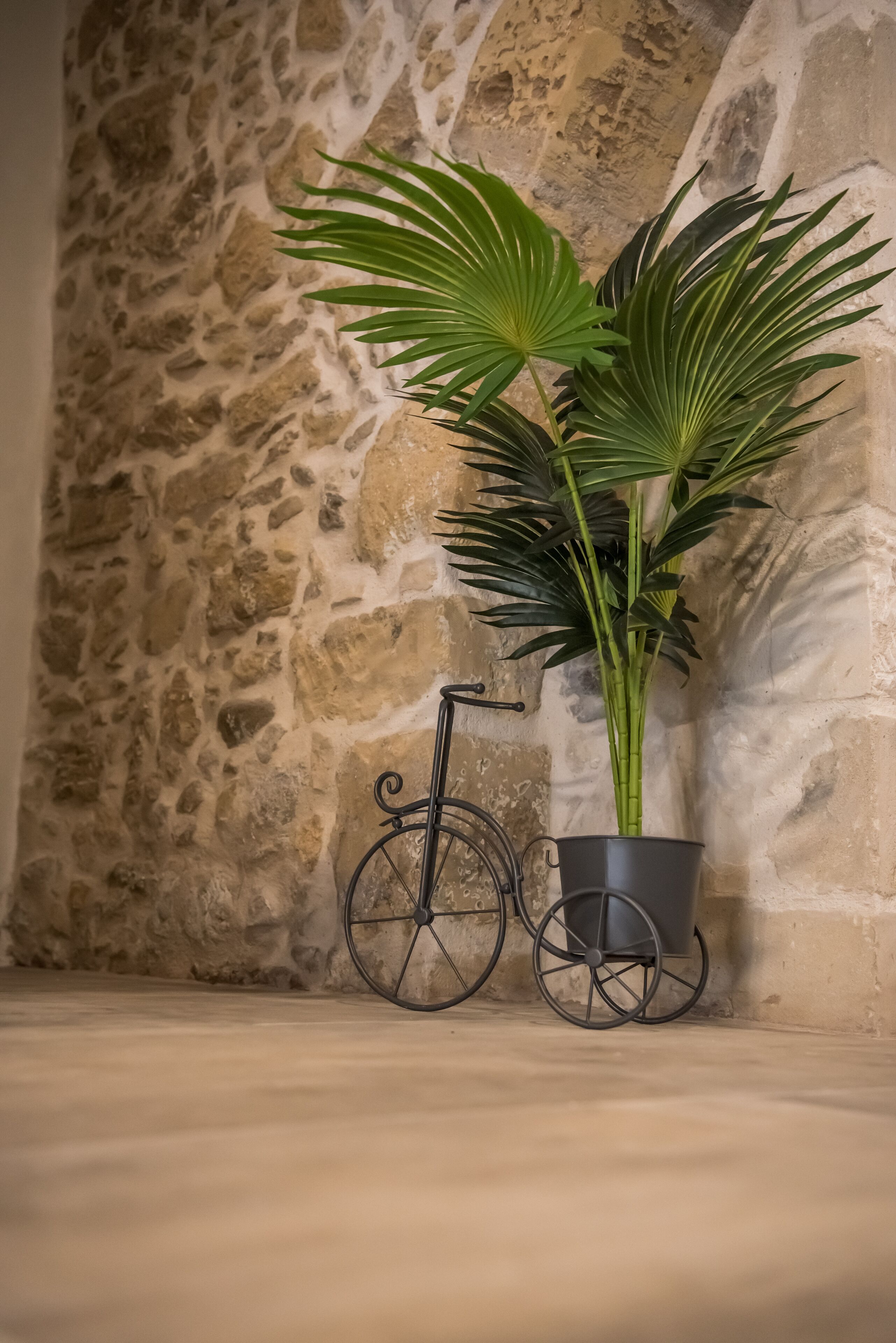 Een potplant met grote groene bladeren naast een zwarte fietswiel-planter tegen een stenen muur.