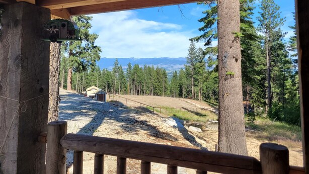 A wooden cabin with a view of a forest and mountains.
