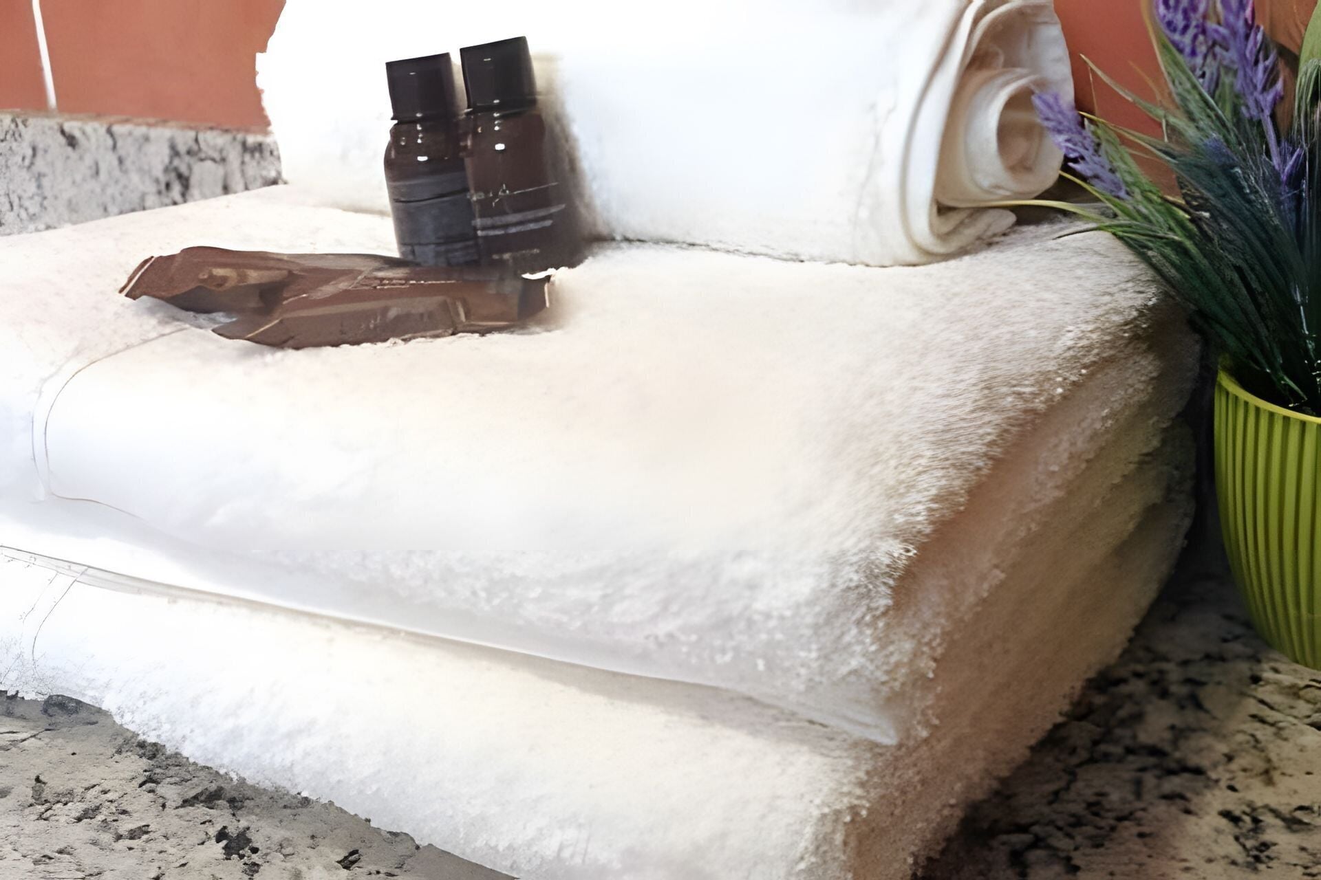 Un baño con una toalla blanca, una botella y una planta en maceta.
