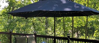Visiting Annapolis for Boat Show, RenFest, Comm Week? This is the perfect house!