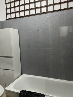 Combined shower/tub, hair dryer, bidet, towels