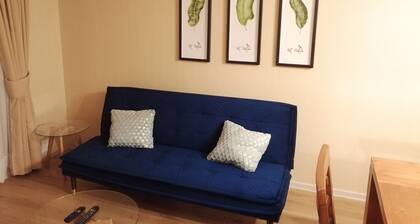 Furnished Apartment Santa Sofia - ConcepciĂłn