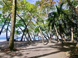 Plage à proximité