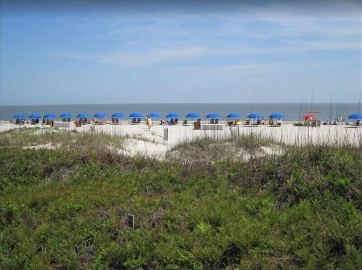 Ein Strand mit Reihen blauer und roter Sonnenschirme, Sandflächen und etwas Vegetation im Vordergrund.