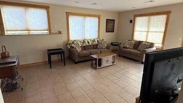 TV, fireplace, DVD player, books