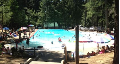 Beautiful, Peaceful Family and Pet Friendly Cabin in Woods. Sleeps 10.