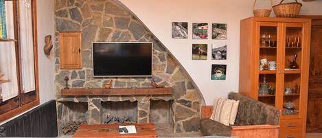 Smart TV, fireplace, books